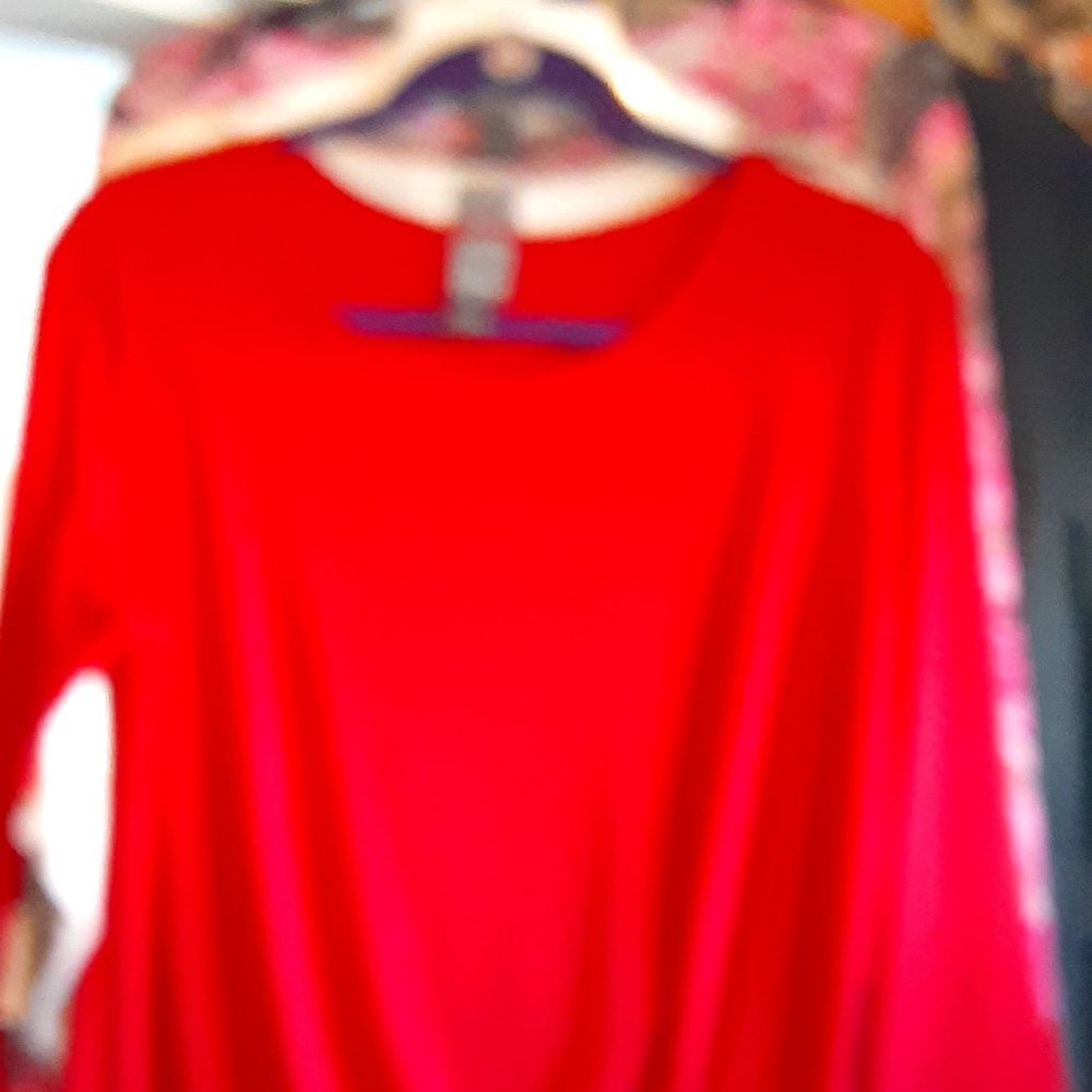 CLARA SUN WOO RED TOP